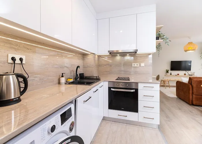 Stylish One-bedroom 普罗夫迪夫